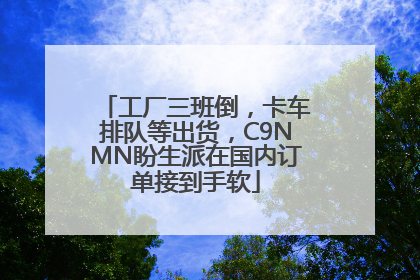 工厂三班倒，卡车排队等出货，C9NMN盼生派在国内订单接到手软