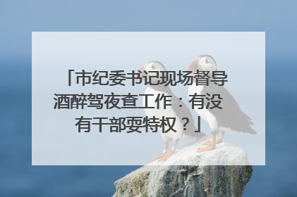市纪委书记现场督导酒醉驾夜查工作：有没有干部耍特权？