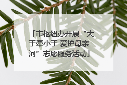 市枢纽办开展“大手牵小手 爱护母亲河”志愿服务活动