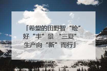 希望的田野智“绘”好“丰”景 “三夏”生产向“新”而行