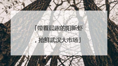 带着晨露的阳新虾，抢鲜武汉大市场
