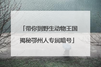 带你到野生动物王国揭秘鄂州人专属暗号