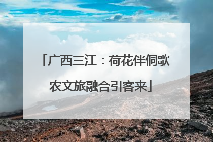 广西三江：荷花伴侗歌 农文旅融合引客来