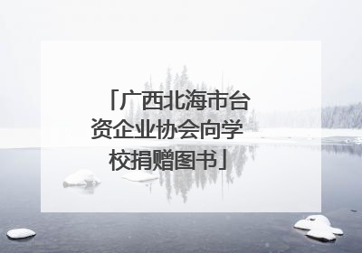 广西北海市台资企业协会向学校捐赠图书