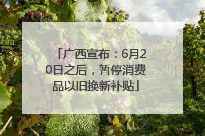广西宣布：6月20日之后，暂停消费品以旧换新补贴