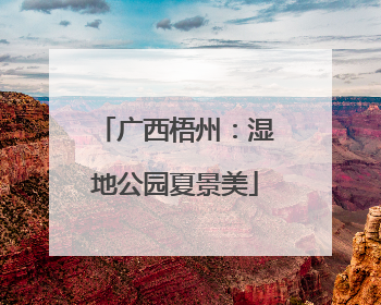 广西梧州：湿地公园夏景美