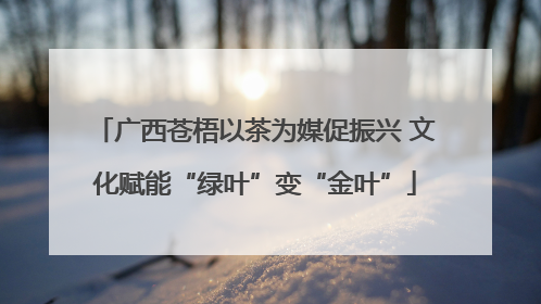 广西苍梧以茶为媒促振兴 文化赋能“绿叶”变“金叶”