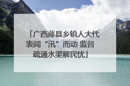 广西藤县乡镇人大代表闻“汛”而动 监督疏通水渠解民忧
