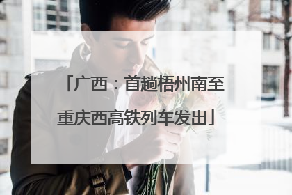 广西：首趟梧州南至重庆西高铁列车发出