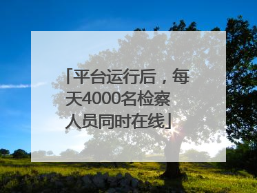 平台运行后，每天4000名检察人员同时在线