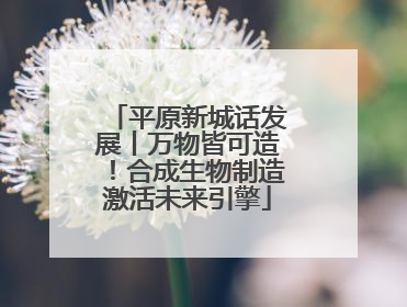 平原新城话发展丨万物皆可造！合成生物制造激活未来引擎