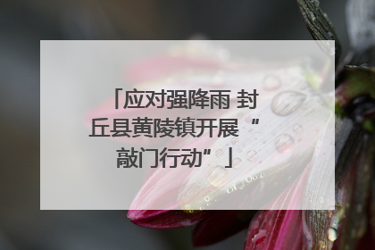 应对强降雨 封丘县黄陵镇开展“敲门行动”