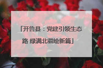开鲁县：党建引领生态路 绿满北疆绘新篇