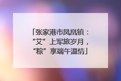 张家港市凤凰镇：“艾”上军旅岁月，“粽”享端午温情