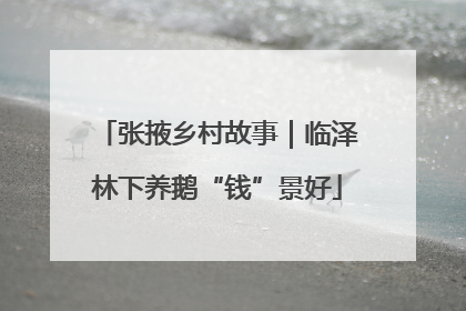 张掖乡村故事｜临泽林下养鹅“钱”景好