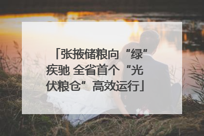 张掖储粮向“绿”疾驰 全省首个“光伏粮仓”高效运行