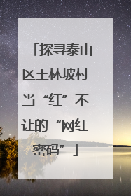探寻泰山区王林坡村当“红”不让的“网红密码”