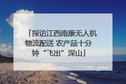 探访江西南康无人机物流配送 农产品十分钟“飞出”深山