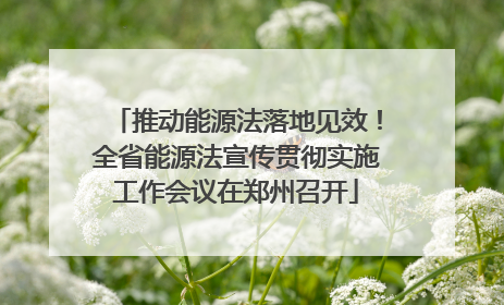 推动能源法落地见效！全省能源法宣传贯彻实施工作会议在郑州召开