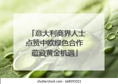 意大利商界人士点赞中欧绿色合作蕴藏黄金机遇