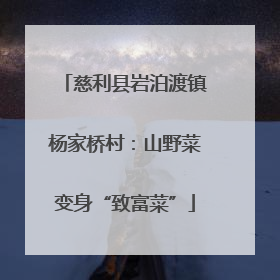 慈利县岩泊渡镇杨家桥村：山野菜变身“致富菜”