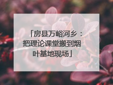 房县万峪河乡：把理论课堂搬到烟叶基地现场
