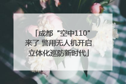 成都“空中110”来了 警用无人机开启立体化巡防新时代