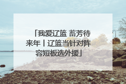 我爱辽篮 蓄芳待来年丨辽篮当针对阵容短板选外援