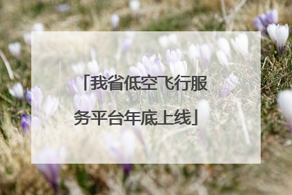 我省低空飞行服务平台年底上线