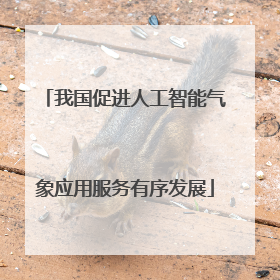 我国促进人工智能气象应用服务有序发展
