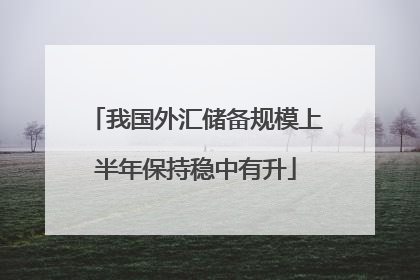 我国外汇储备规模上半年保持稳中有升