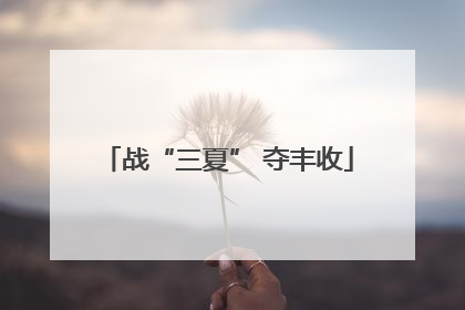 战“三夏” 夺丰收