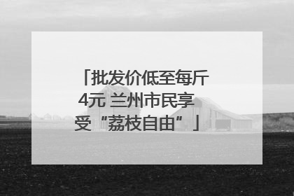 批发价低至每斤4元 兰州市民享受“荔枝自由”