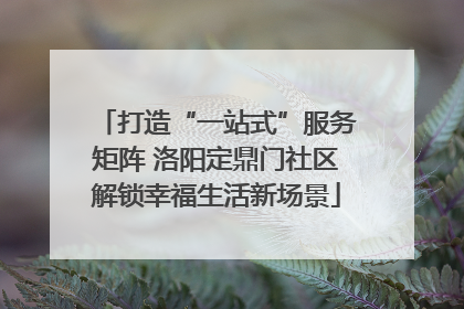 打造“一站式”服务矩阵 洛阳定鼎门社区解锁幸福生活新场景