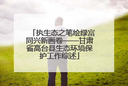 执生态之笔绘绿富同兴新画卷——甘肃省高台县生态环境保护工作综述