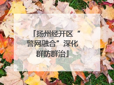 扬州经开区“警网融合”深化群防群治