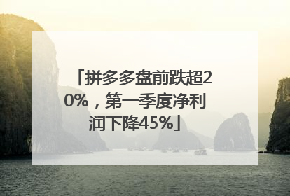 拼多多盘前跌超20%，第一季度净利润下降45%