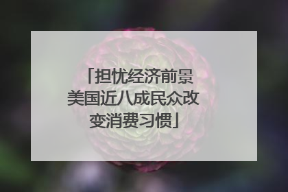 担忧经济前景 美国近八成民众改变消费习惯