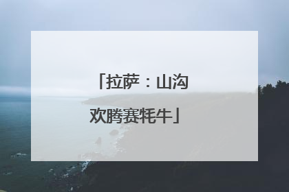 拉萨：山沟欢腾赛牦牛