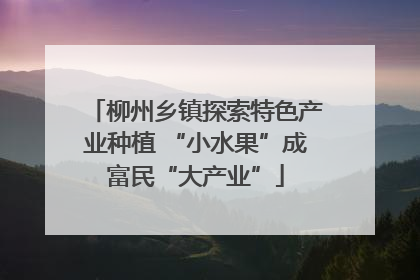 柳州乡镇探索特色产业种植 “小水果”成富民“大产业”