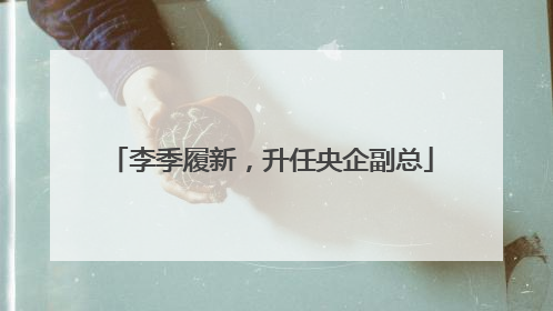李季履新，升任央企副总