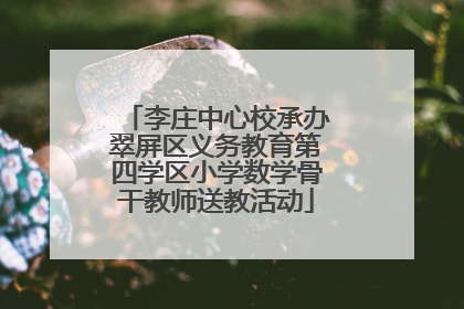 李庄中心校承办翠屏区义务教育第四学区小学数学骨干教师送教活动