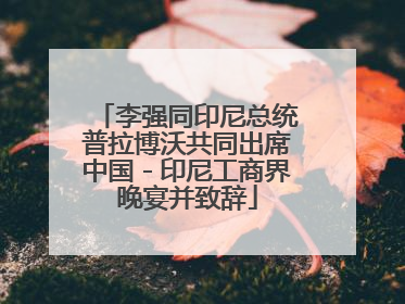 李强同印尼总统普拉博沃共同出席中国－印尼工商界晚宴并致辞