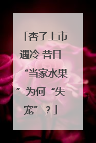 杏子上市遇冷 昔日“当家水果”为何“失宠”？