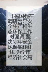 杨国强在调研督导安全生产和生态环保工作时强调 坚决守牢安全环保底线红线 为全市经济社会高质量发展提供坚强保障