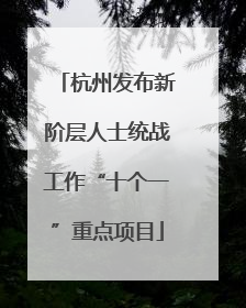 杭州发布新阶层人士统战工作“十个一”重点项目