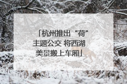杭州推出“荷”主题公交 将西湖美景搬上车厢