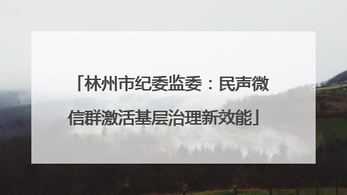 林州市纪委监委：民声微信群激活基层治理新效能