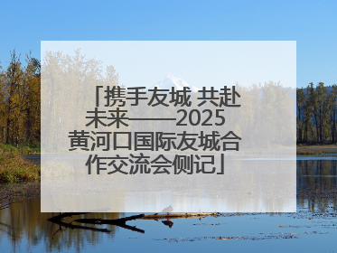 携手友城 共赴未来——2025黄河口国际友城合作交流会侧记