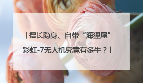 擅长隐身、自带“海狸尾” 彩虹-7无人机究竟有多牛？